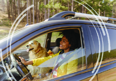 Brand Promise Web Images Solutions for Automakers 