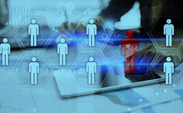 manual review and fraud investigations