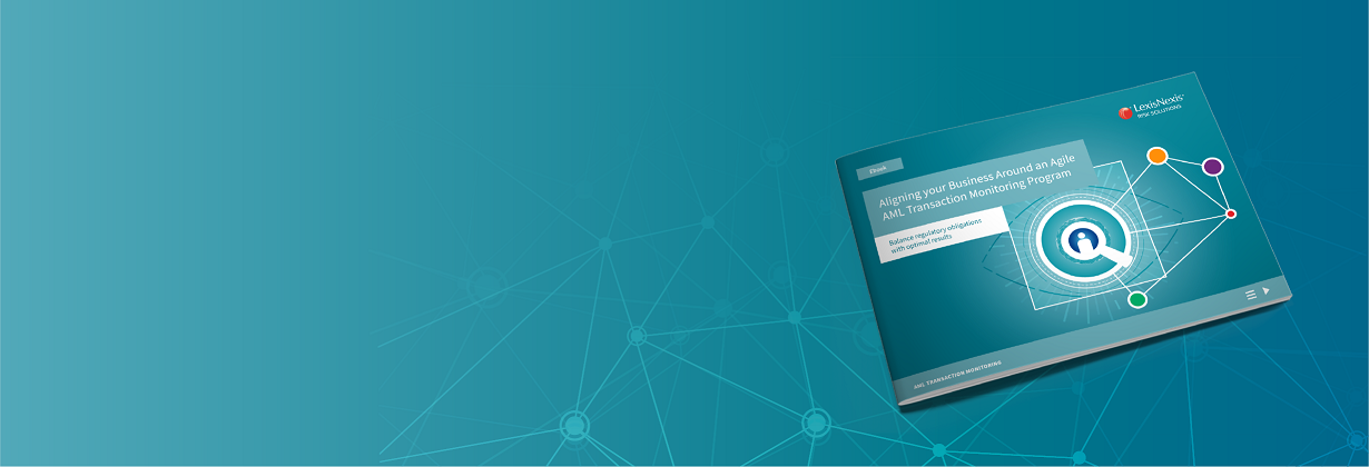 AML Transaction Monitoring Ebook