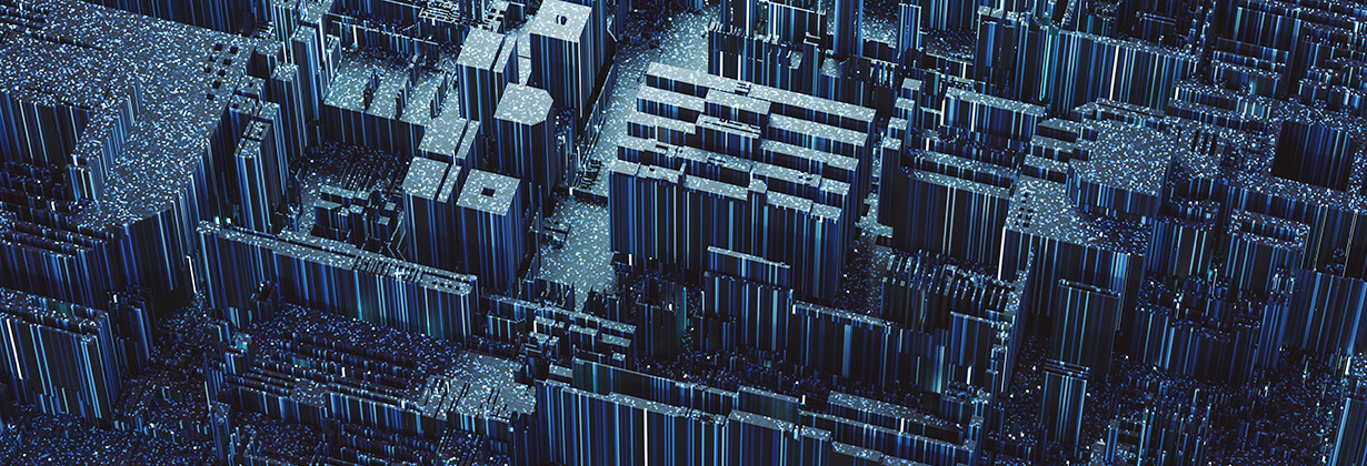 Large Financial Institution Case Study