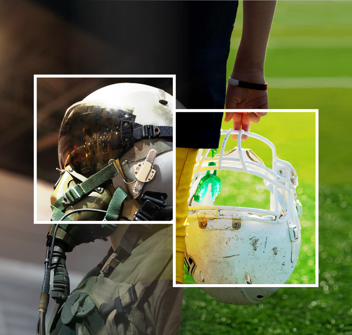 LexisNexis® Controlled Goods Data