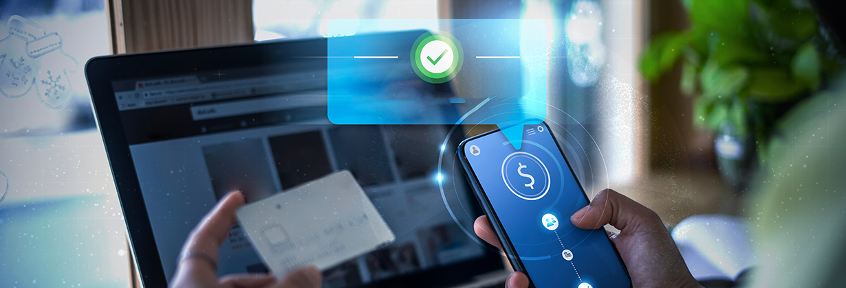 Ecommerce Fraud Mitigation