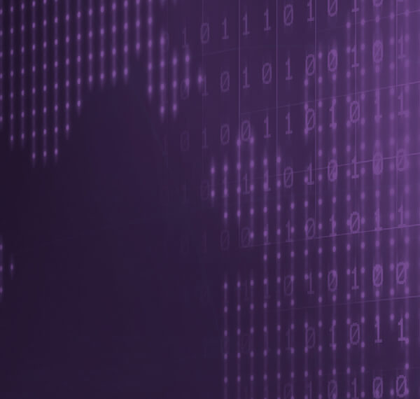 Financial Services Fraud