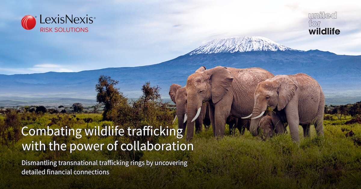 Combating Wildlife Trafficking