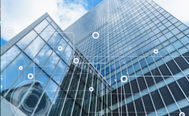 Business Due Diligence for Tax Auditors