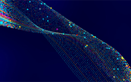 True cost of fraud for SNAP agencies eBook