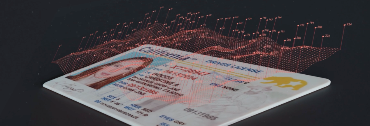 identity verification AI