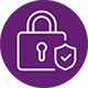 Secure icon