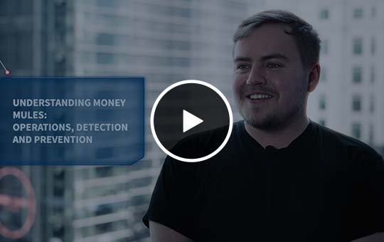 Understanding Money Mules Thumbnail