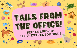 Tails From The Office