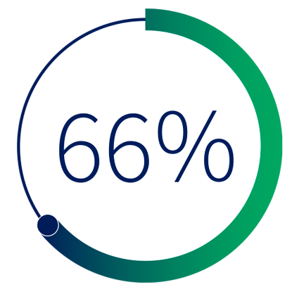 66 %