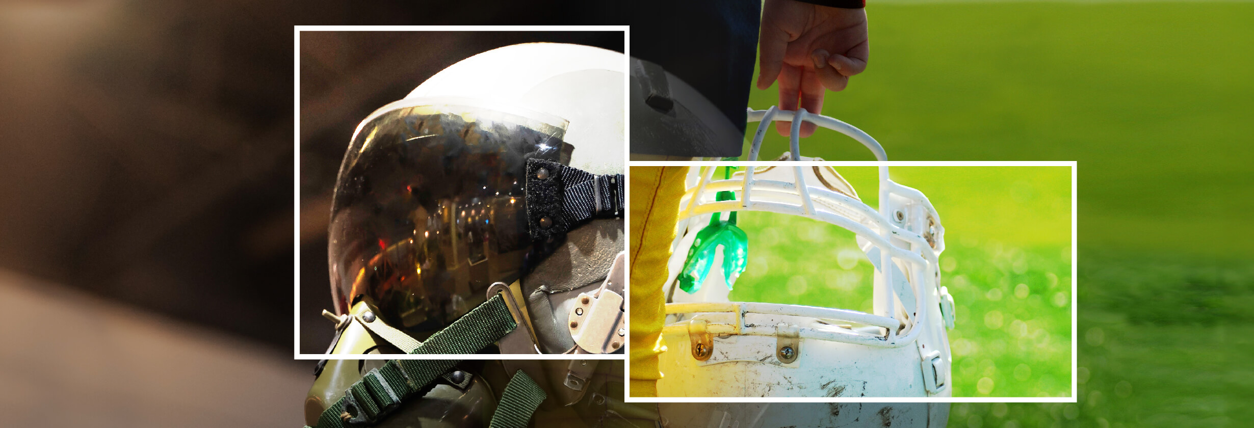 LexisNexis® Controlled Goods Data