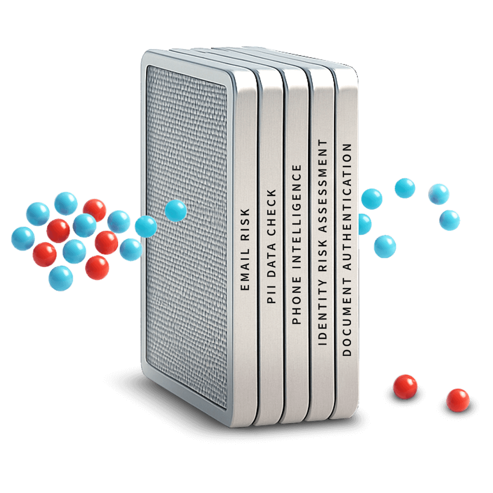 Digital Identity Verification Filter