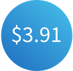 $3.91 图标