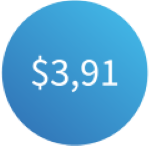 $3,91