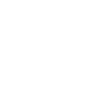ecommerce icon