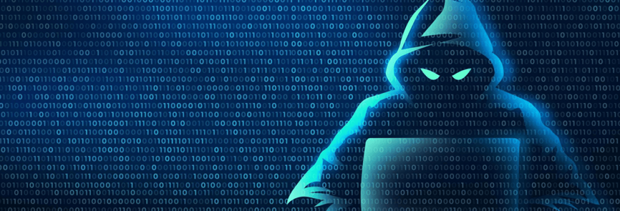 Fraud Typologies in the Netherlands