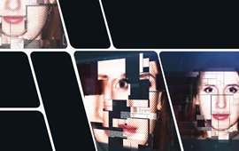 IDVerse